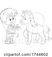 Poster, Art Print Of Boy Feeding A Pony