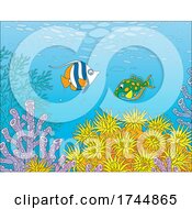 Poster, Art Print Of Reef With Fish