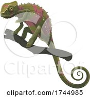Chameleon On A Branch by Vector Tradition SM