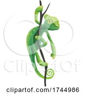Chameleon On A Branch by Vector Tradition SM