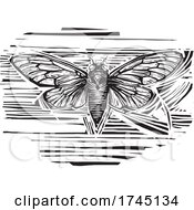 Poster, Art Print Of Woodcut Winged Cicada