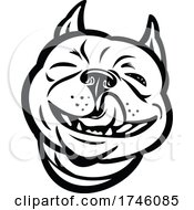 Laughing Boston Terrier Boston Bull Boston Bull Terrier Boxwood Or American Gentlemen With Tongue Out Front View Mascot Retro Style