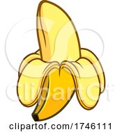 Banana Halfway Peeled