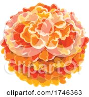Marigold Flowers by Vector Tradition SM