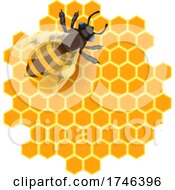 Bee On Honeycombs