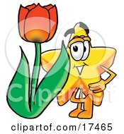 Star Mascot Cartoon Character With A Red Tulip Flower In The Spring by Mascot Junction