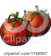 Poster, Art Print Of Tomatoes Vegetable Vintage Woodcut Illustration