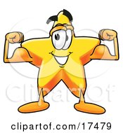 Star Mascot Cartoon Character Flexing His Arm Muscles by Mascot Junction