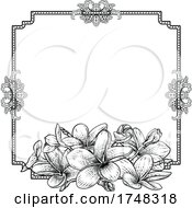 Poster, Art Print Of Plumeria Tropical Flower Wedding Invite Background