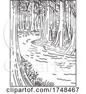 Poster, Art Print Of An Old Growth Bottomland Hardwood Forest In Congaree National Park In Central South Carolina United States Mono Line Or Monoline Black And White Line Art
