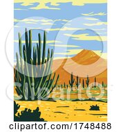 Poster, Art Print Of Stenocereus Thurberi Growing In Organ Pipe Cactus National Monument Located In Arizona United States And The Mexican State Of Sonora Wpa Poster Art