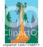 Poster, Art Print Of The General Grant Tree A Giant Sequoia In The General Grant Grove Section Of Kings Canyon National Park In California Wpa Poster Art