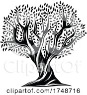 Black And White Olive Tree