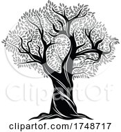 Black And White Olive Tree