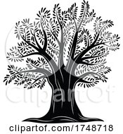 Black And White Olive Tree by Vector Tradition SM