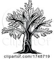 Black And White Olive Tree by Vector Tradition SM