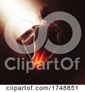 Poster, Art Print Of 3d Medical Image With Female Holding Her Back In Pain