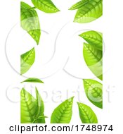 Green Tea Leaf Background