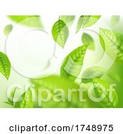 Poster, Art Print Of Green Tea Leaf Background