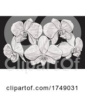 Poster, Art Print Of Orchid Flower Woodcut Etching