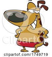 Poster, Art Print Of Cartoon Dog In A Speedo