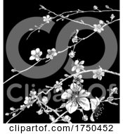 Blossom Japanese Sakura Cherry Flower Print by AtStockIllustration
