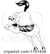 Poster, Art Print Of Horse Mascot Kicking