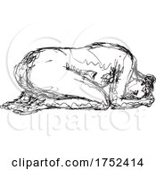 Poster, Art Print Of Female Nude Prone Bw-Doodle_3718