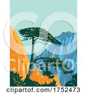 Poster, Art Print Of Pinus Hwangshanensis Or Huangshan Pine On Huangshan Mountains In Anhui Province China Wpa Poster Art