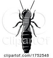 Poster, Art Print Of Termite