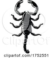 Poster, Art Print Of Scorpion