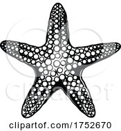 Poster, Art Print Of Starfish