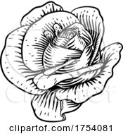 Poster, Art Print Of Rose Flower Vintage Woodcut Drawing