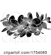 Poster, Art Print Of Plumeria Frangipani Tropical Bali Flower Etching