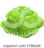 Poster, Art Print Of Cabbage