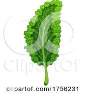 Poster, Art Print Of Kale