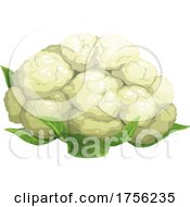 Poster, Art Print Of Cauliflower