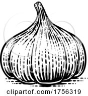 Poster, Art Print Of Garlic Vegetable Vintage Woodcut Illustration