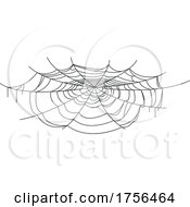 Poster, Art Print Of Spider Web