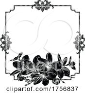 Poster, Art Print Of Plumeria Tropical Flower Wedding Invite Background