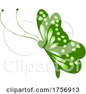 Poster, Art Print Of Green Butterfly