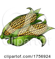 Corn Vegetable Vintage Woodcut Illustration
