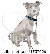 Poster, Art Print Of Sitting Staffordshire Bull Terrier