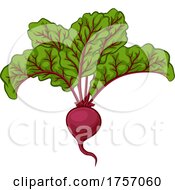 Beet Or Beetroot Vegetable Cartoon Illustration