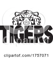 Poster, Art Print Of Tiger Mascot Design With A Head Over Text