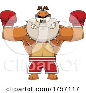 Poster, Art Print Of Cartoon Muscular Bulldog Boxer