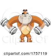 Poster, Art Print Of Cartoon Tough Bulldog Holding Weights