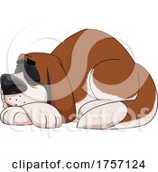 Cartoon St Bernard Dog Sleeping