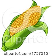 Sweet Corn Ear Maize Cob Cartoon Illustration