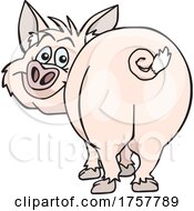 Poster, Art Print Of Cartoon Pig Looking Back With His Butt In View